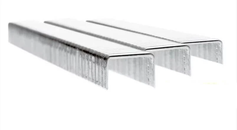 Rapid 13/14 14mm Galvanised 5m Staples Box 5000 - RPD1314 1 Rapid 13/14 14mm Galvanised 5m Staples Box 5000 - RPD1314